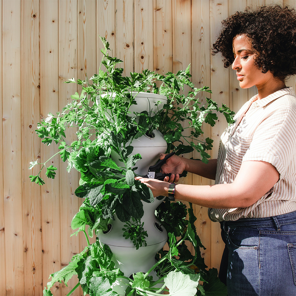 lettuce-grow-z4S0MYNYT08-unsplash